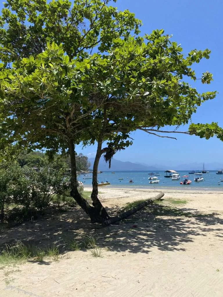 Acueducto en ruinas en Ilha Grande