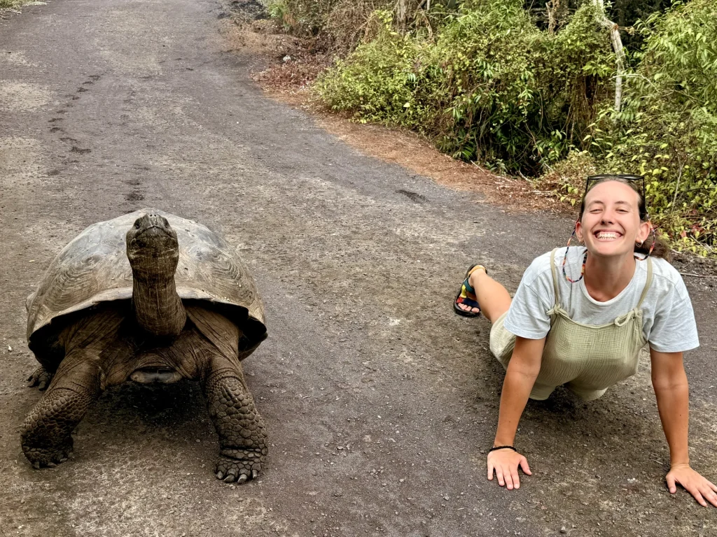 Tortuga gigante en Galápagos