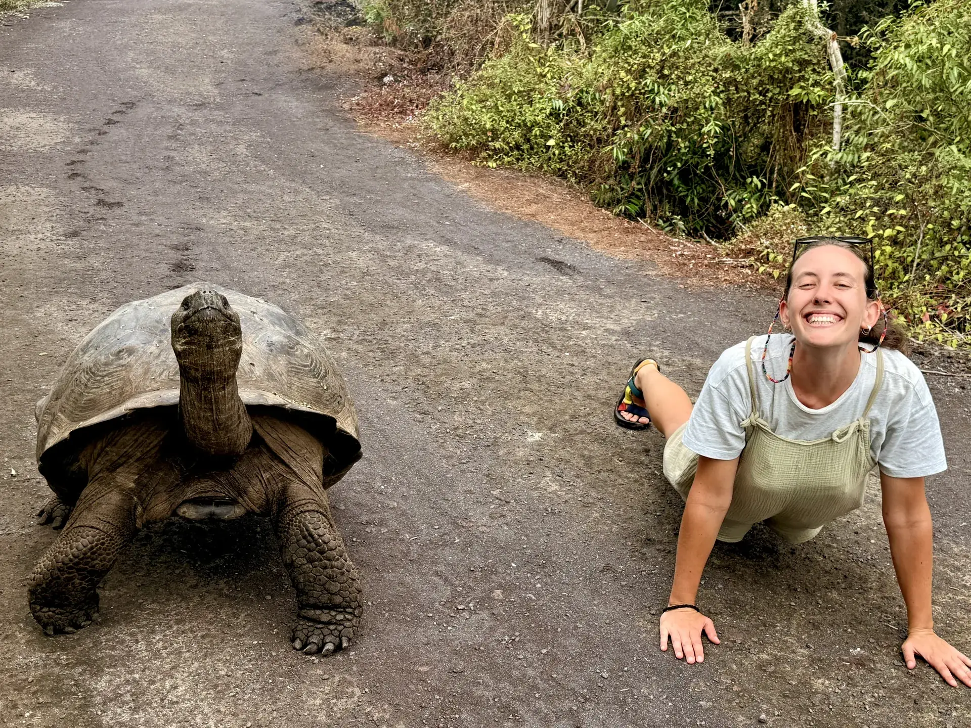 Chica junto a una tortuga gigante en Galápagos
