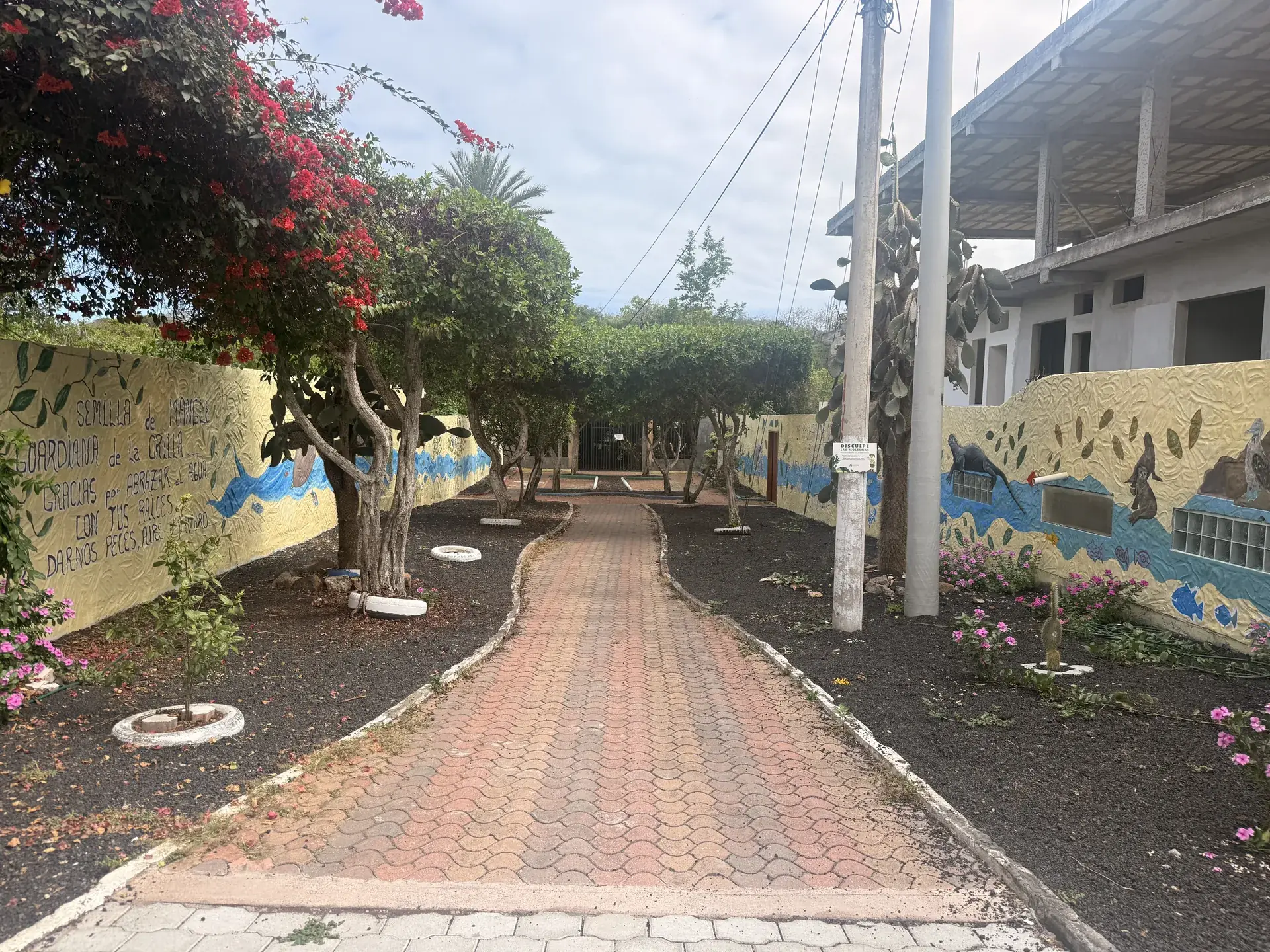 Entrada Laguna las Ninfas, Galápagos