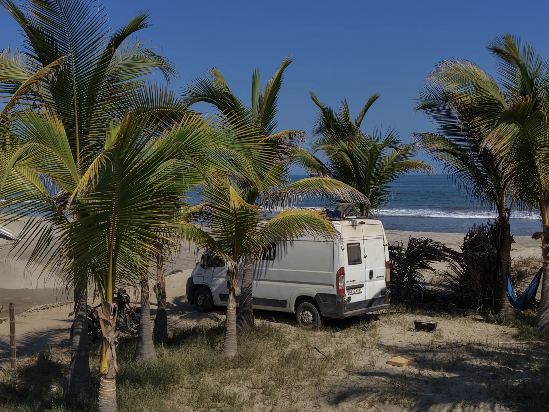 Furgoneta camper blanca en medio de palmeras con el mar de fondo