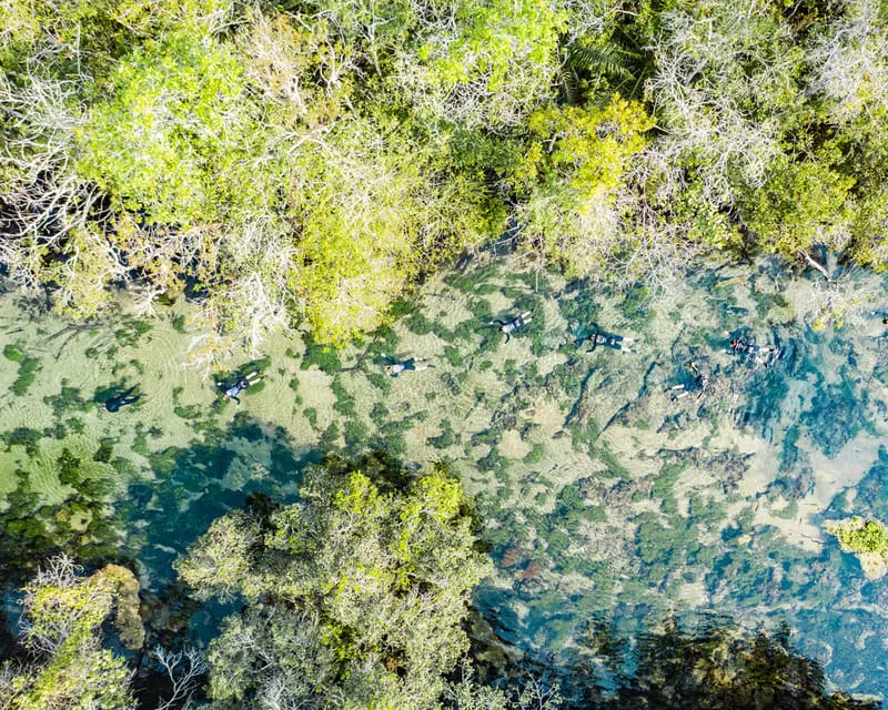 Flotación en el Rio da Prata