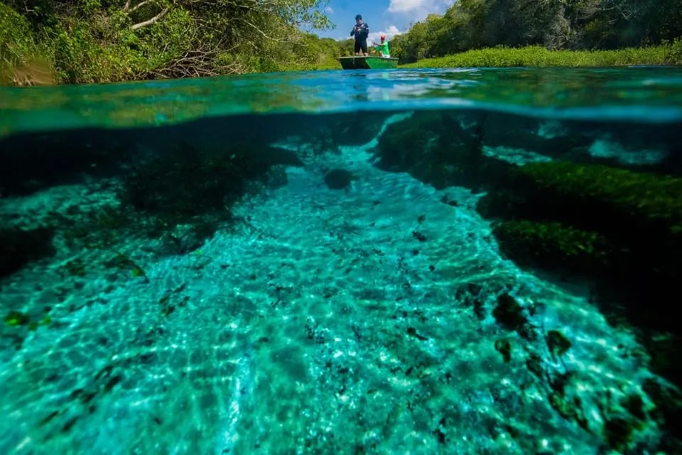 Flotación en el Río Sucuri