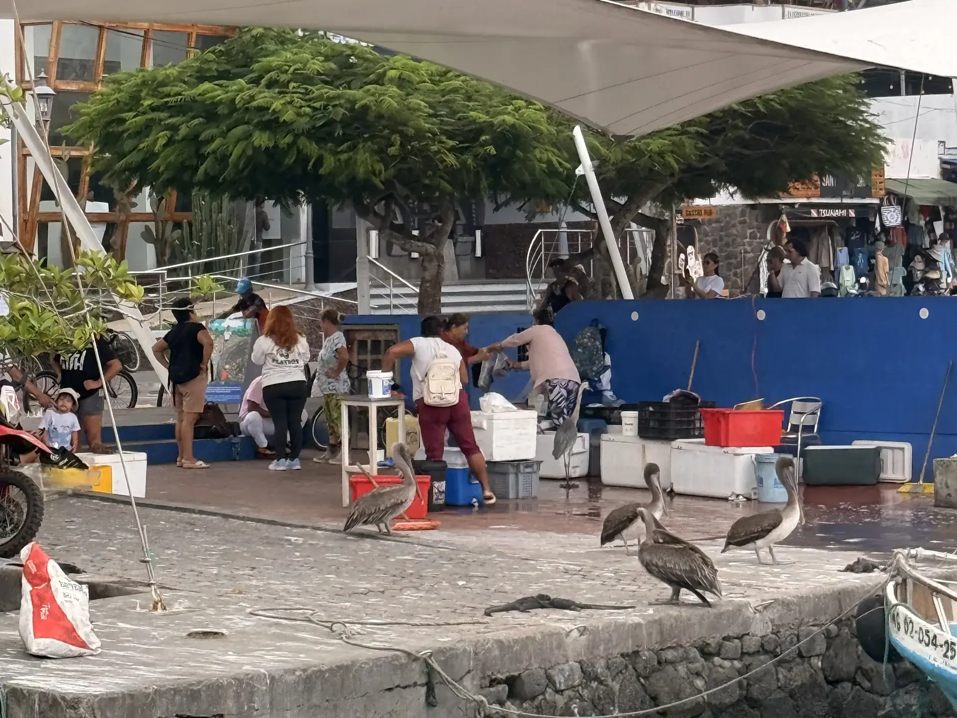 muelle de los pescadores, Santa Cruz, Galápagos