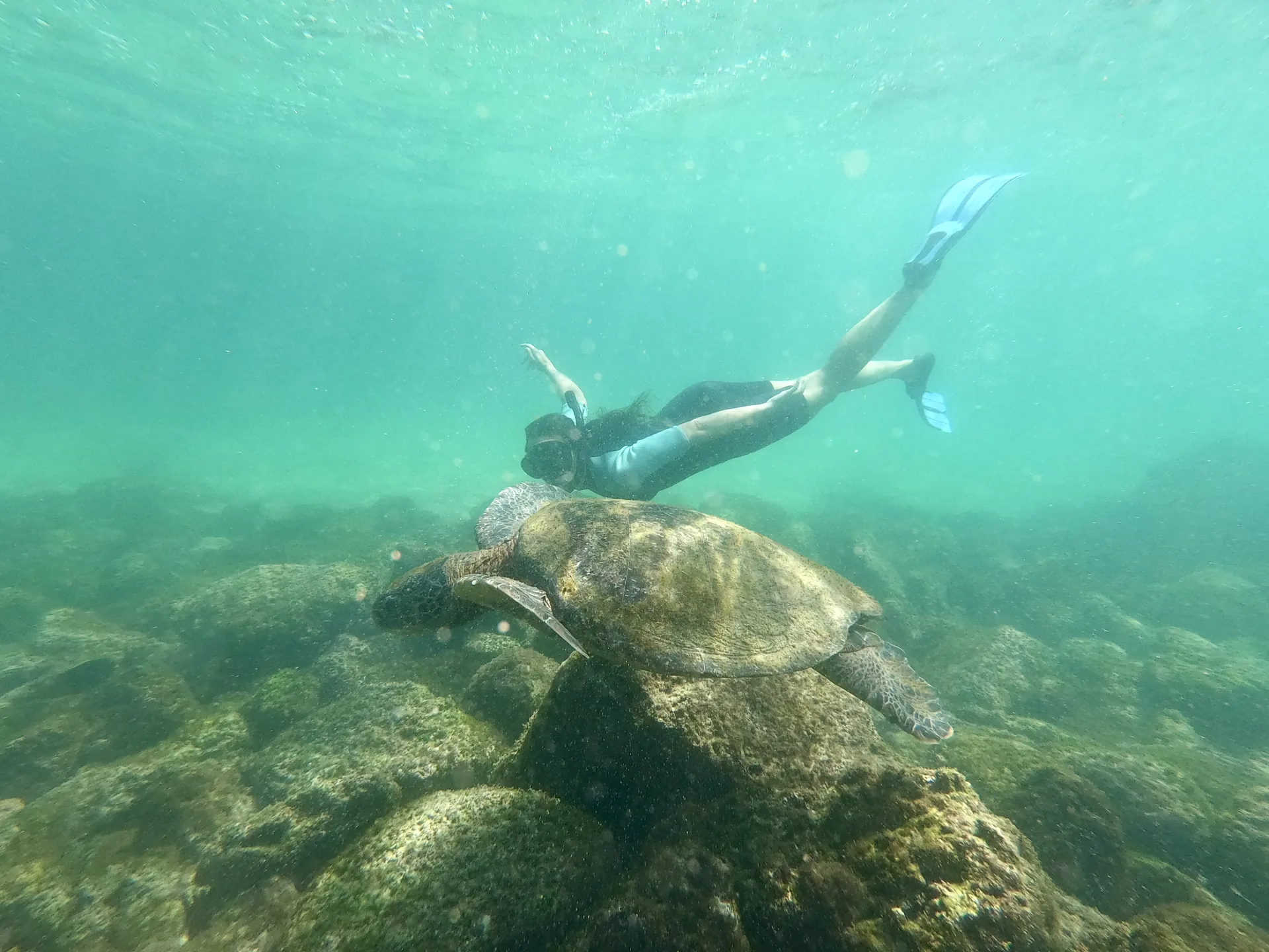 Mujer nadando al lado de una tortuga marina
