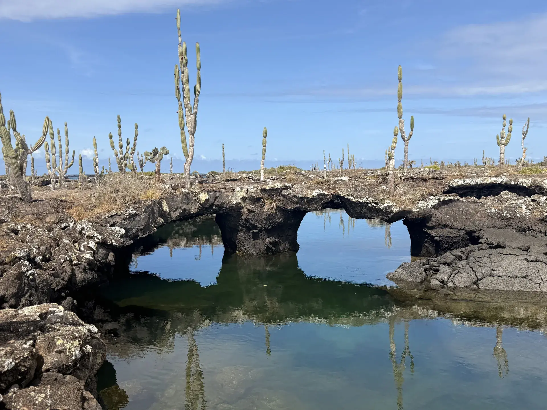 Túneles de lava en isla Isabela, Galápagos