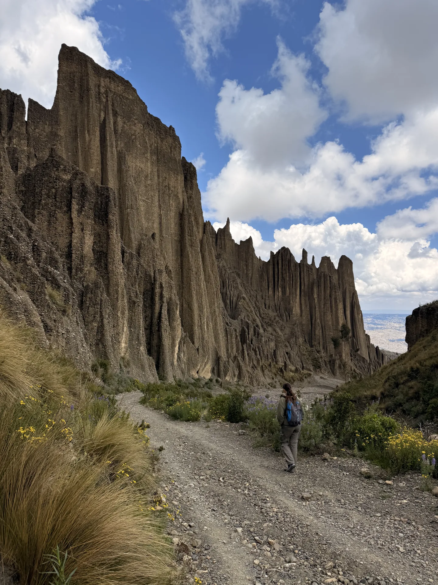 Valle de las animas Bolivia