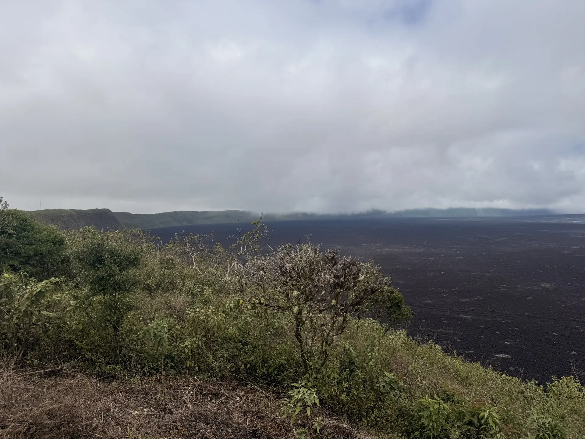 Vistas al cráter del Volcán Sierra Negra, en Galápagos